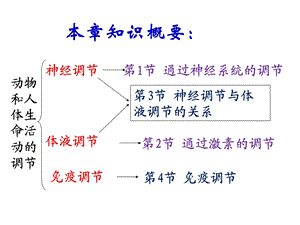 222通过神经系统的调节PPT文档资料.ppt