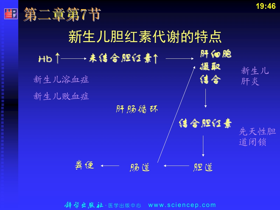 最新第2章 第节 新生儿黄疸PPT文档.ppt_第3页