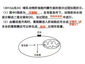 主要细胞器的结构和功能文档资料.ppt