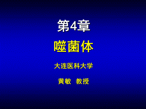 第04章噬菌体名师编辑PPT课件.ppt