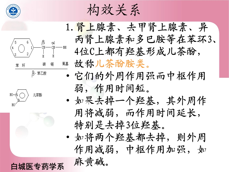 最新第八章肾上腺素受体激动药PPT文档.ppt_第3页