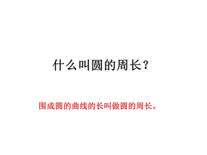 圆的周长练习课.ppt