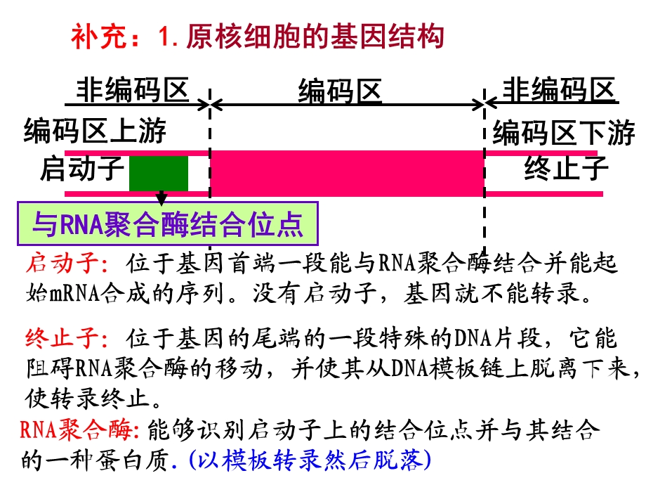 高中生物选修三基因工程的基本操作程序文档资料.ppt_第1页