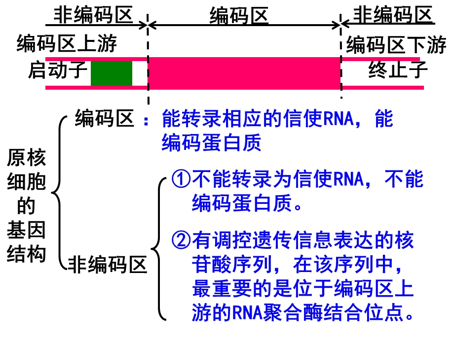 高中生物选修三基因工程的基本操作程序文档资料.ppt_第2页