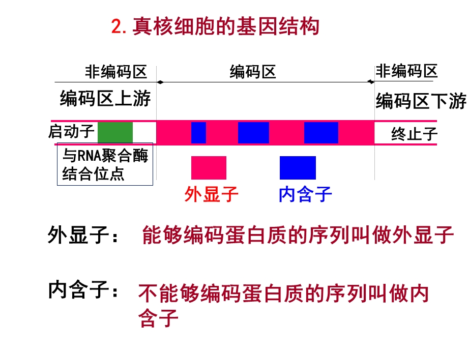 高中生物选修三基因工程的基本操作程序文档资料.ppt_第3页