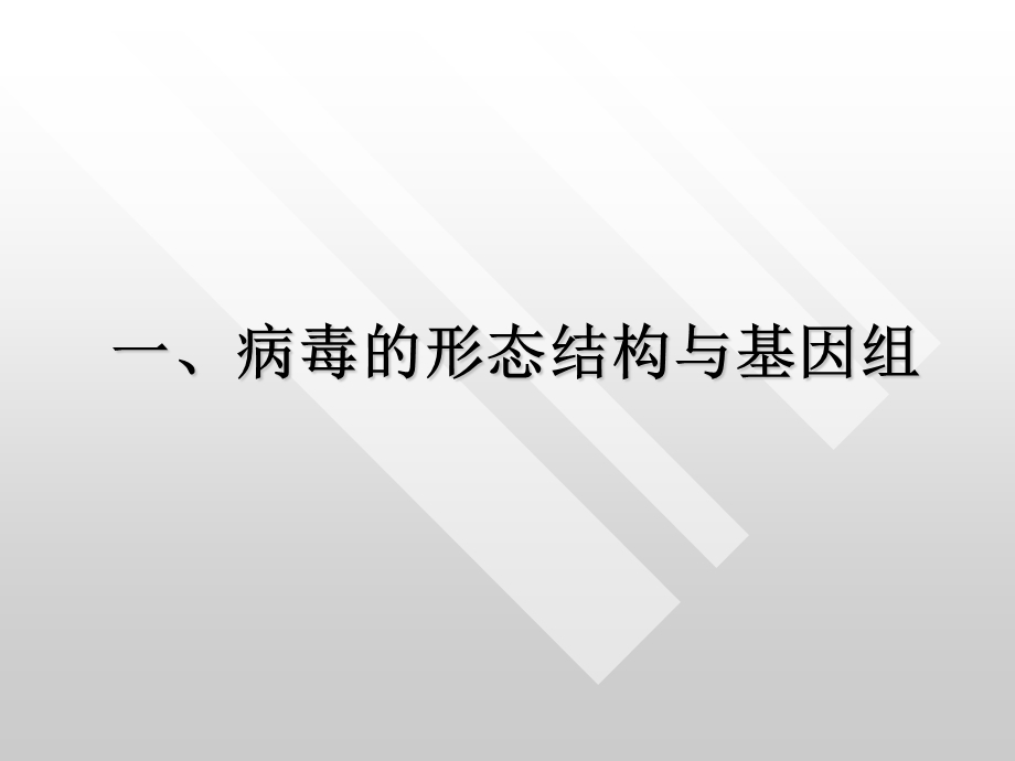 遗传学病毒的遗传分析文档资料.ppt_第3页