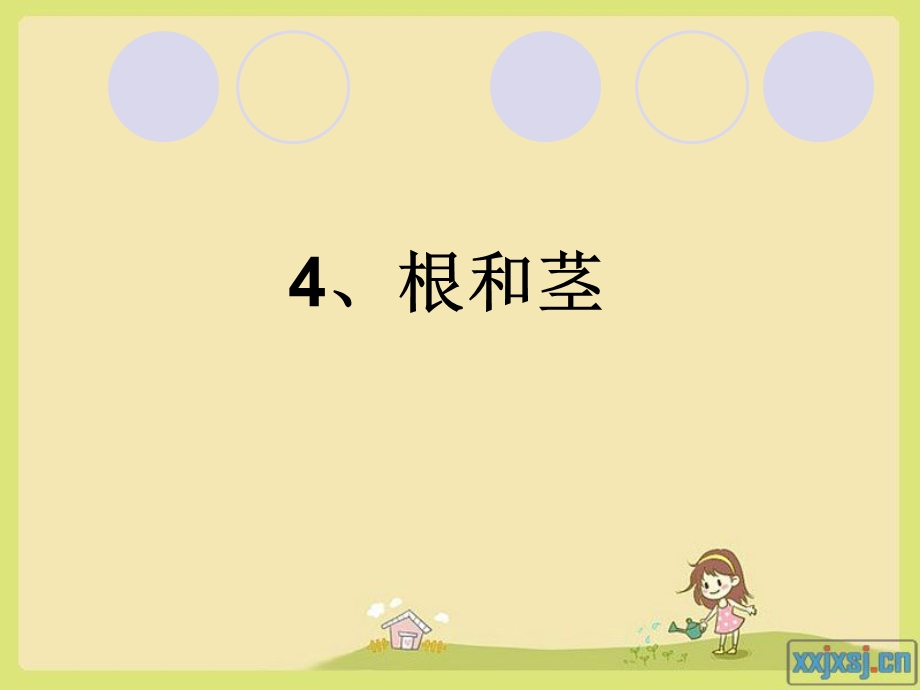 [五年级其它课程]根和茎.ppt_第1页