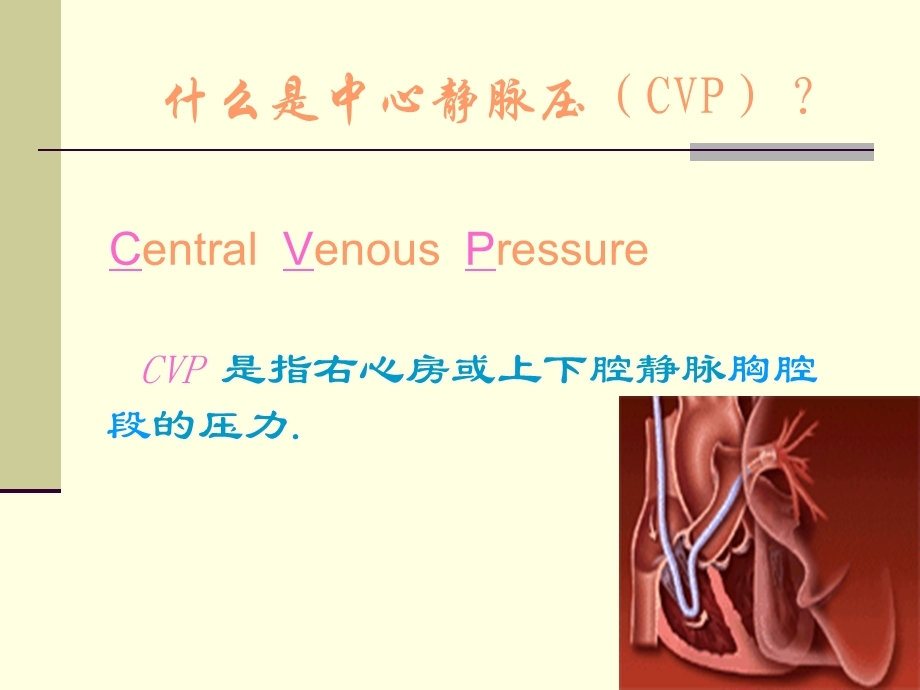 最新：中心静脉压测定文档资料.ppt_第1页