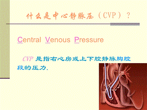 最新：中心静脉压测定文档资料.ppt