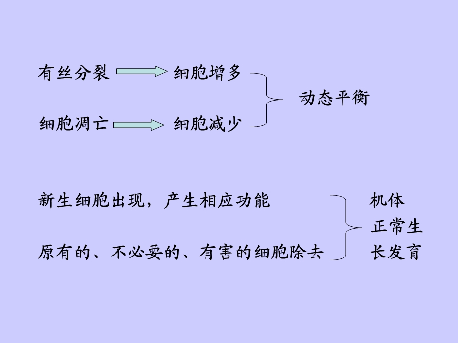 7细胞凋亡分子机制及检测PPT文档.ppt_第3页