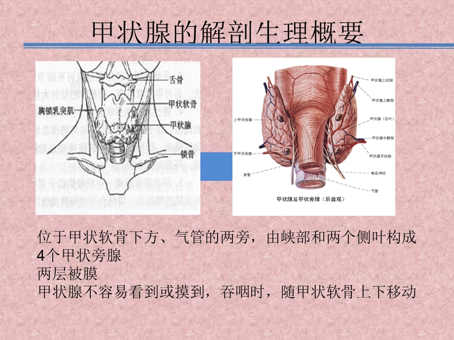 最新甲状腺疾病查房PPT文档.pptx_第1页