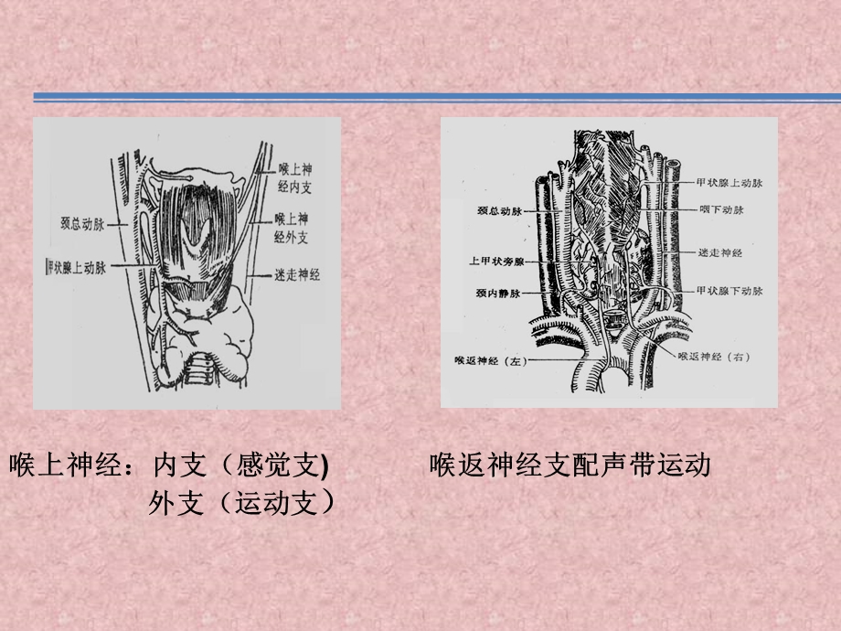 最新甲状腺疾病查房PPT文档.pptx_第3页