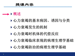 心衰心力衰竭PPT文档.ppt