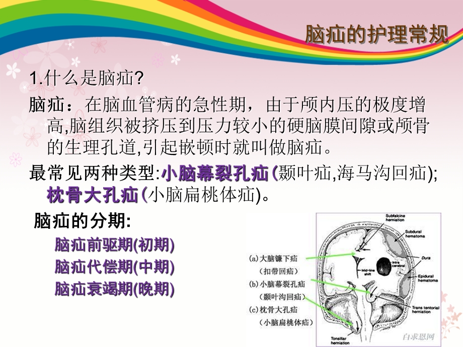 最新：危重病护理常规文档资料.ppt_第2页