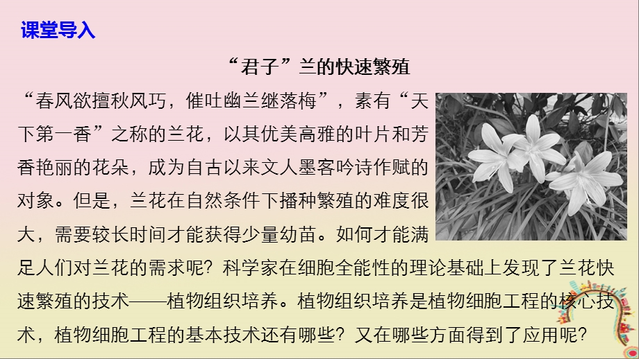 高中生物第章细胞工程第节植物细胞工程植物细胞工程的基本技术同步备课课件.pptx_第2页