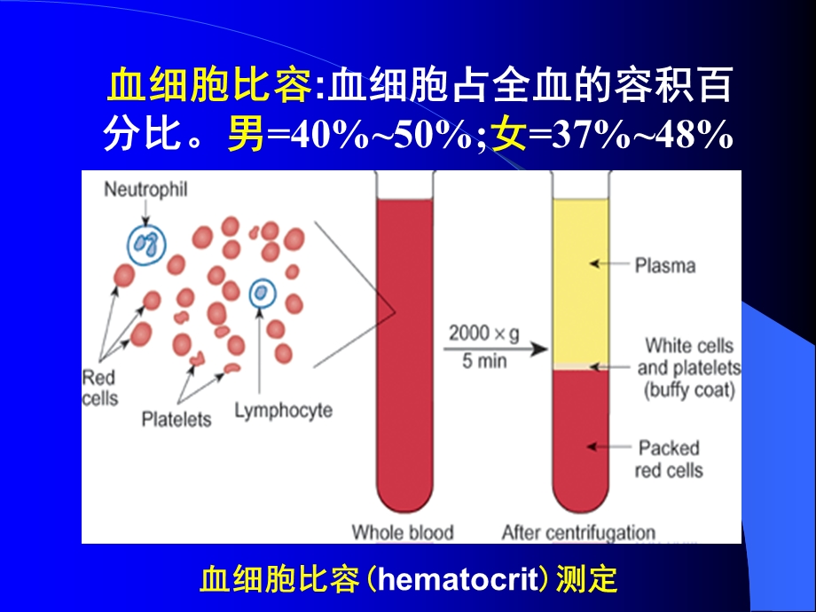 第三章血液blood名师编辑PPT课件.ppt_第2页