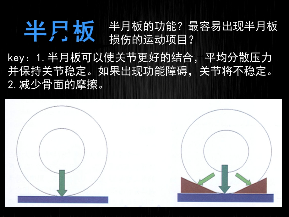 体适能中的解剖学和肌动学PPT课件.ppt_第3页