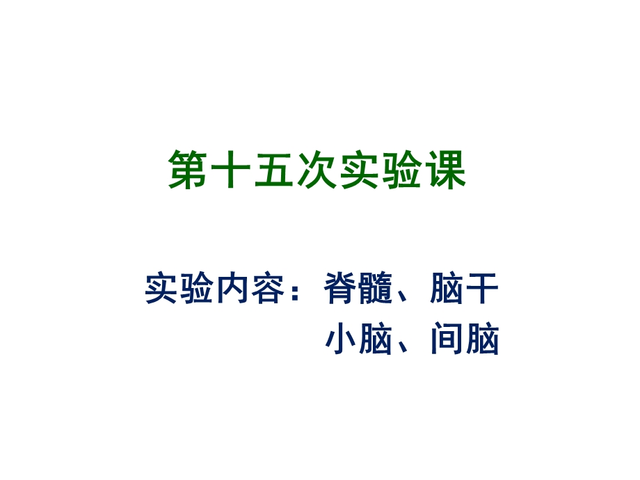 [临床医学]15第十五次实验课脊髓、脑干、小脑、间脑临床专业.ppt_第1页