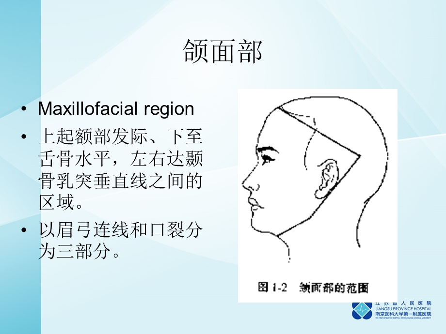 最新：口腔颌面部解剖生理文档资料.ppt_第3页