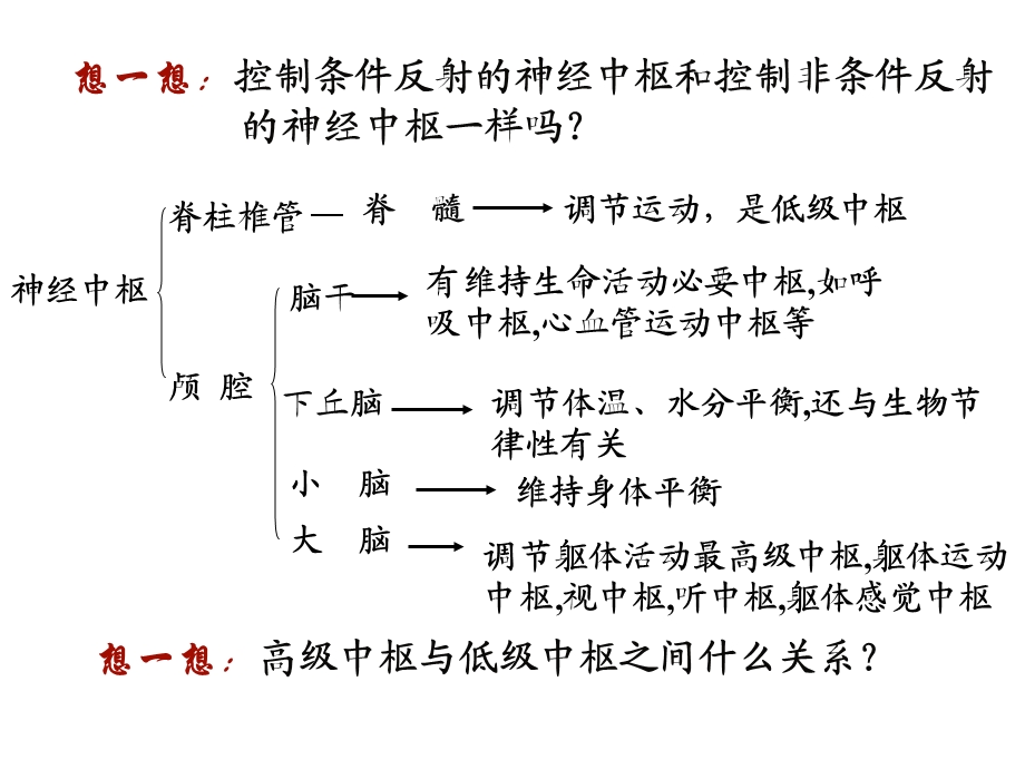 最新神经系统的分级调节1PPT文档.ppt_第3页