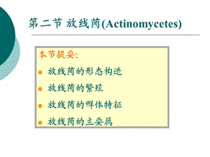 第二节放线菌Actinomycetes名师编辑PPT课件.ppt