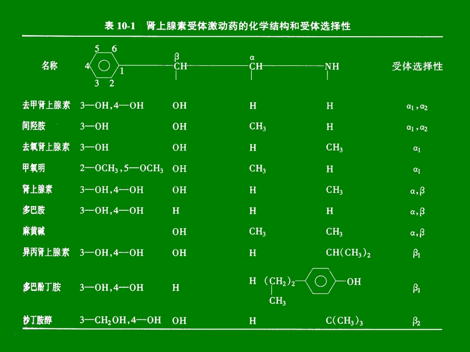 最新8肾上腺素受体激动药PPT文档.ppt_第2页