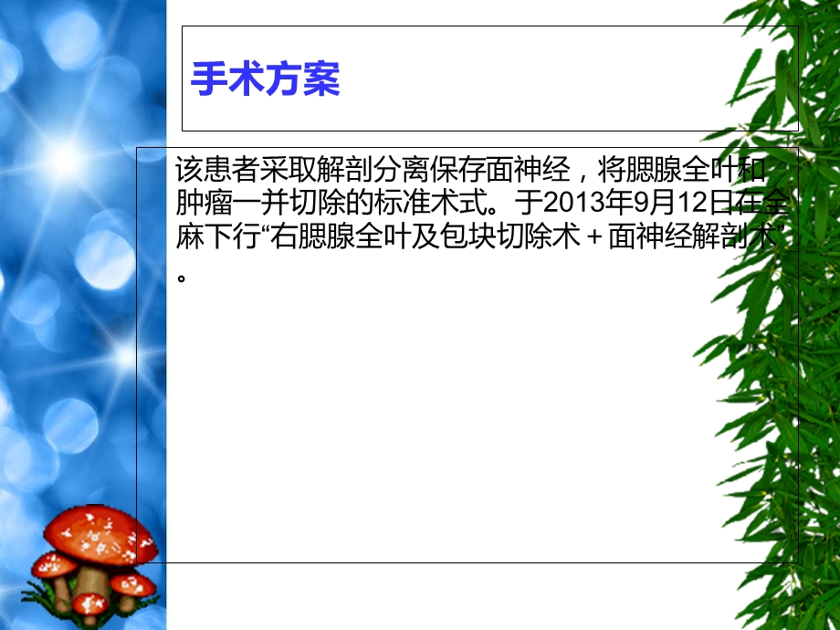 腮腺浅叶摘除面神经解剖术文档资料.ppt_第3页