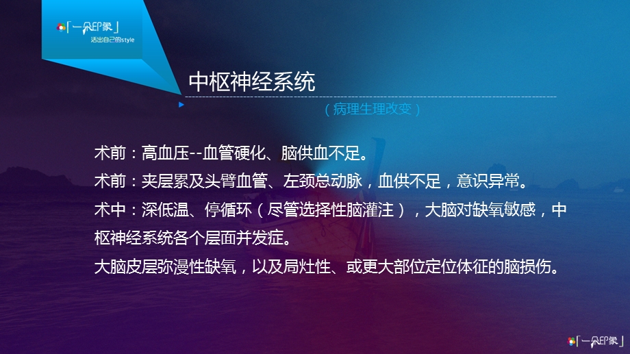 大血管手术后监护与治疗PPT课件.ppt_第3页