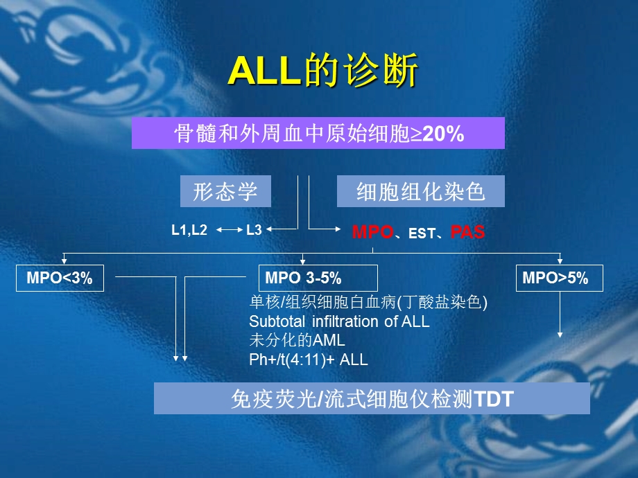 成人急性淋巴细胞白血病的规范化治疗文档资料.ppt_第3页