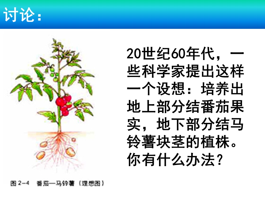 生物：211植物细胞工程的基本技术课件2新人教版选修3湖南师大精选文档.ppt_第1页