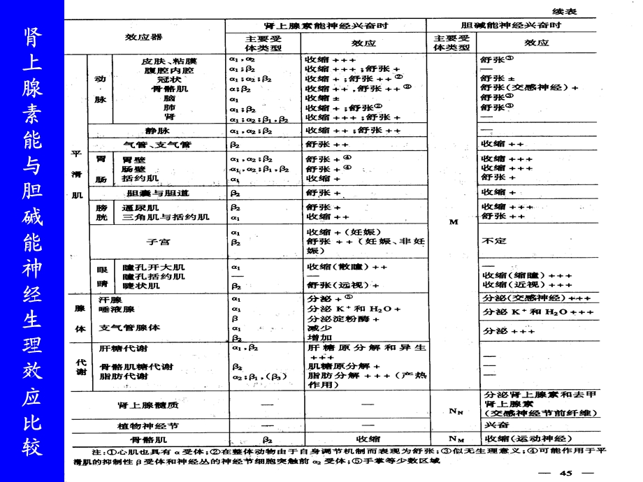 8第八章第九章肾上腺素受体激动剂、肾上腺素受体拮抗剂.ppt_第1页