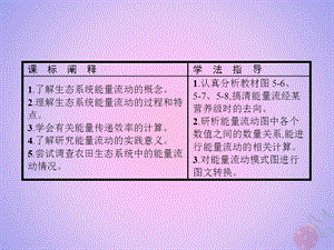 高中生物第5章生态系统及其稳定性5.2生态系统的能量流动课件新人教版.pptx