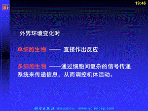 第16章细胞间信息传递文档资料.ppt