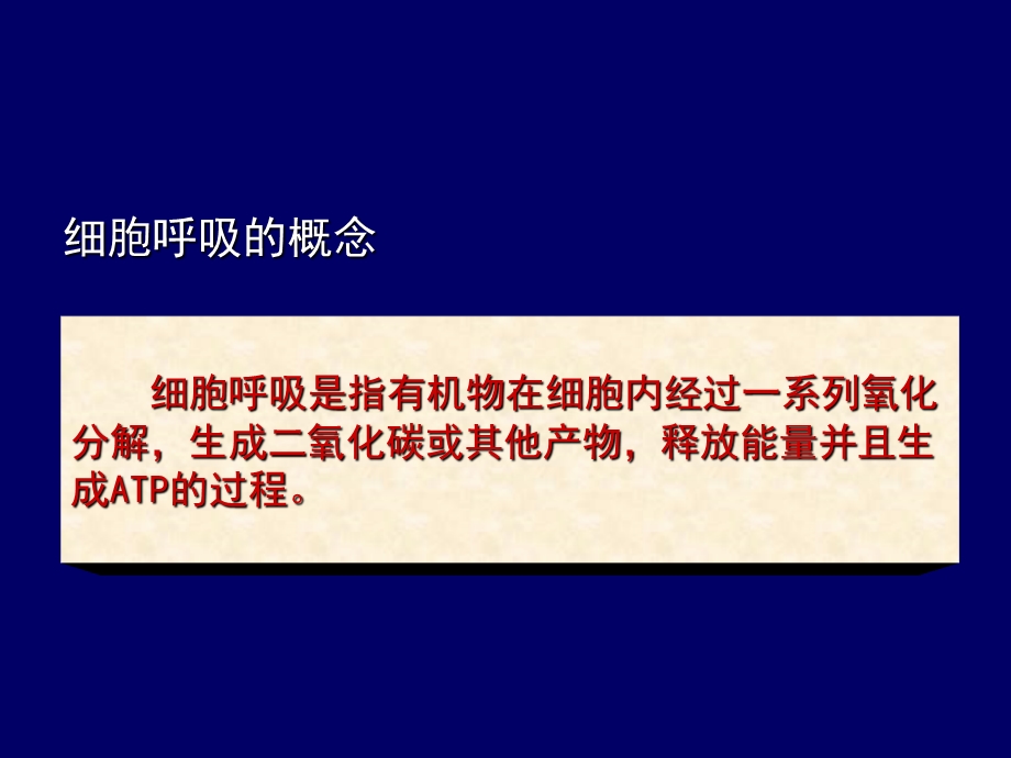 最新人教版教学视频ATP的主要来源——细胞呼吸 课件1PPT文档.ppt_第3页