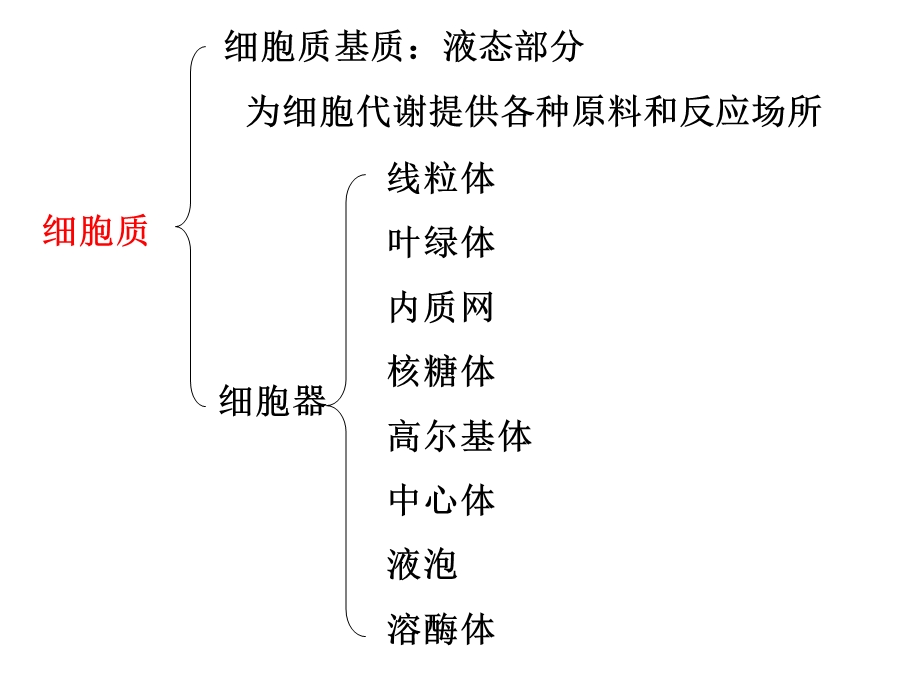 最新：3.2细胞器——系统内的分工合作文档资料PPT文档.ppt_第3页