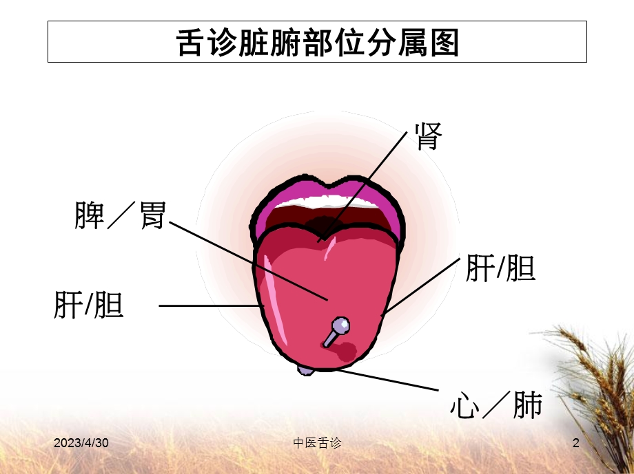 中医学舌诊具体PP课件PPT文档资料.ppt_第2页