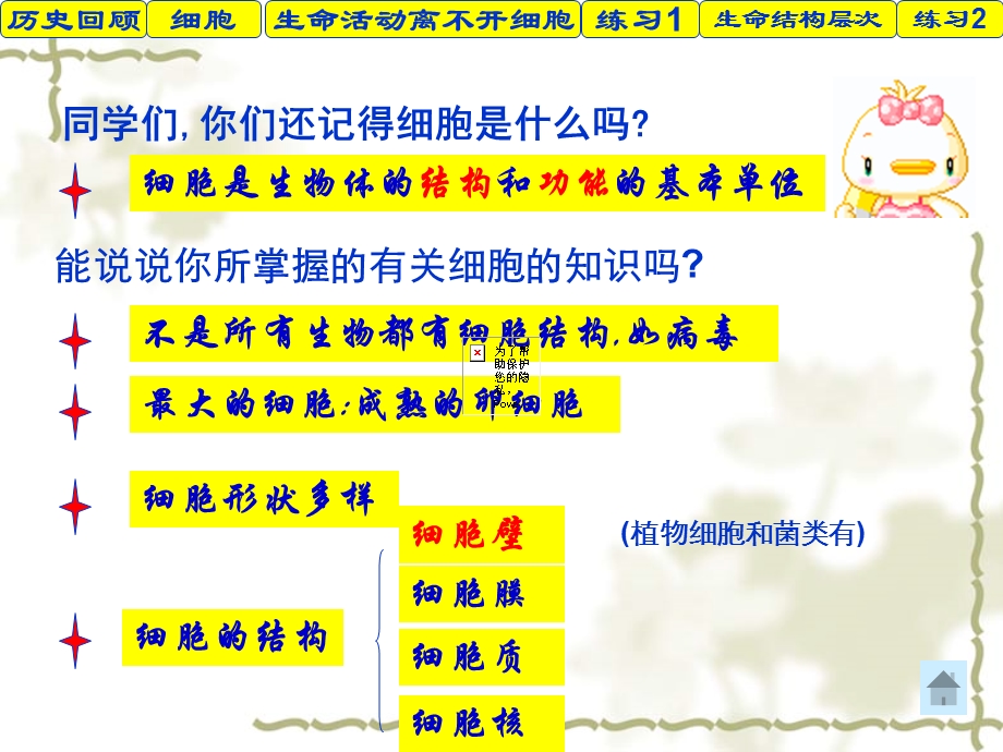 人教版教学课件从生物圈到细胞课件5PPT文档资料.ppt_第1页