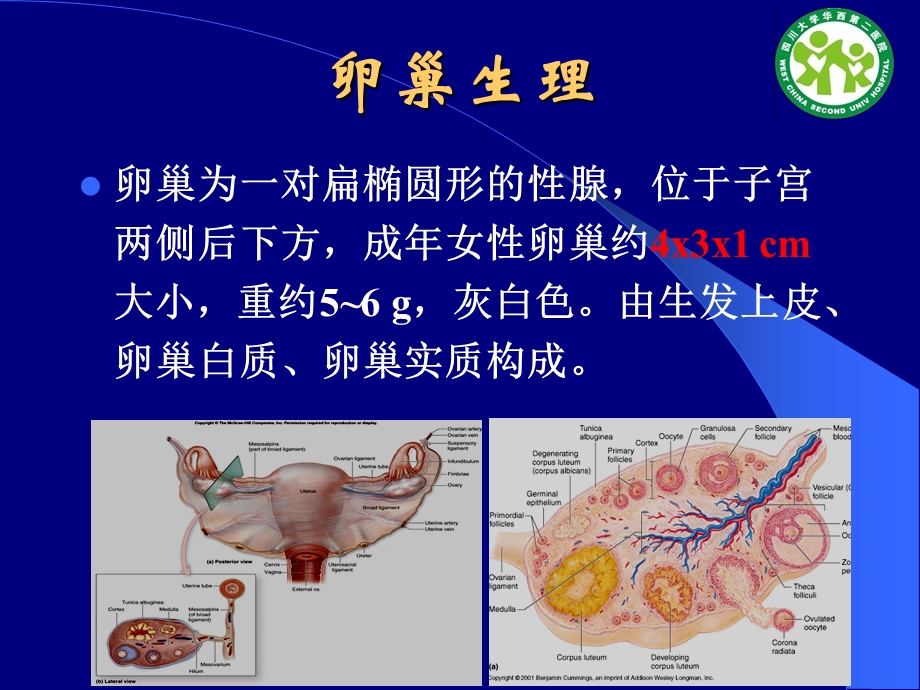 最新：卵巢肿块的超声诊断杨太珠华西文档资料.ppt_第1页