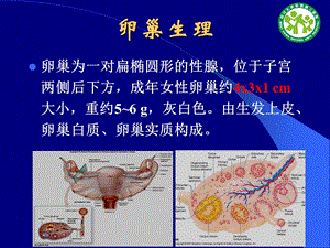 最新：卵巢肿块的超声诊断杨太珠华西文档资料.ppt