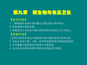 第九章微生物与食品卫生名师编辑PPT课件.ppt