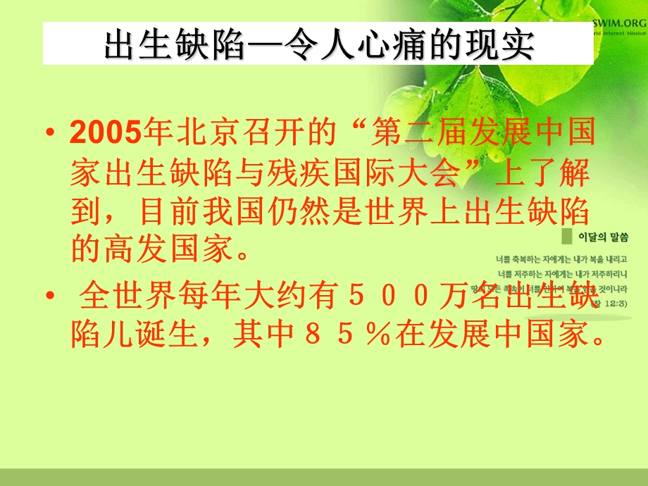 如何预防新生儿出生缺陷ppt课件文档资料.ppt_第2页