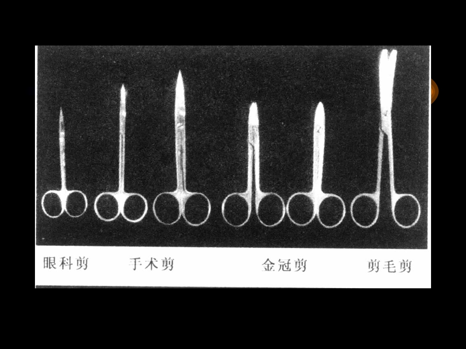 最新人体解剖生理学实验——人体解剖技术PPT文档.ppt_第2页