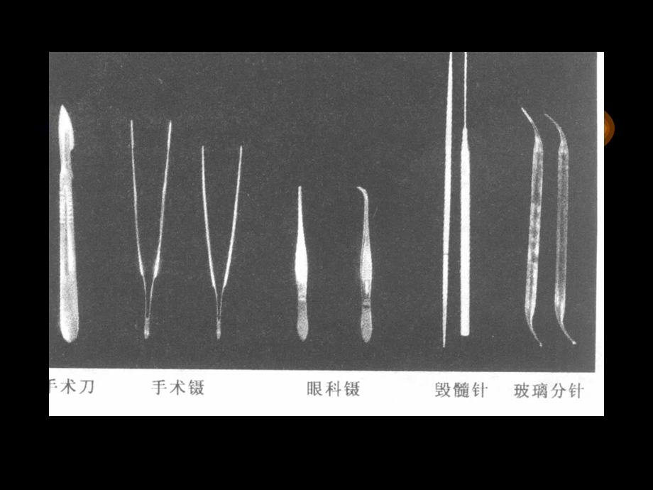 最新人体解剖生理学实验——人体解剖技术PPT文档.ppt_第3页