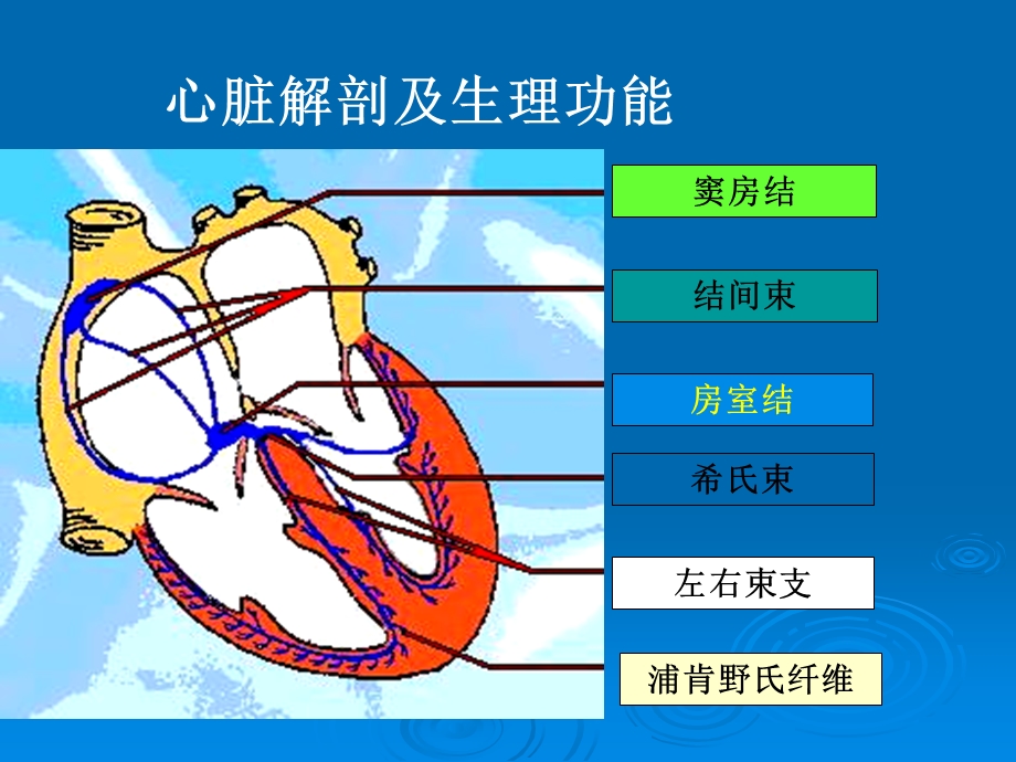 本科心电图讲义文档资料.ppt_第1页