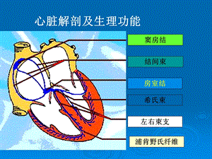 本科心电图讲义文档资料.ppt