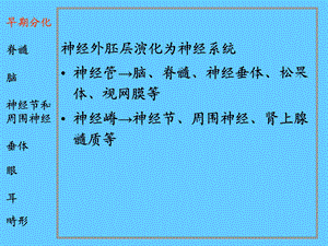 最新：最新：26神经系统和眼耳的发生文档资料文档资料.ppt