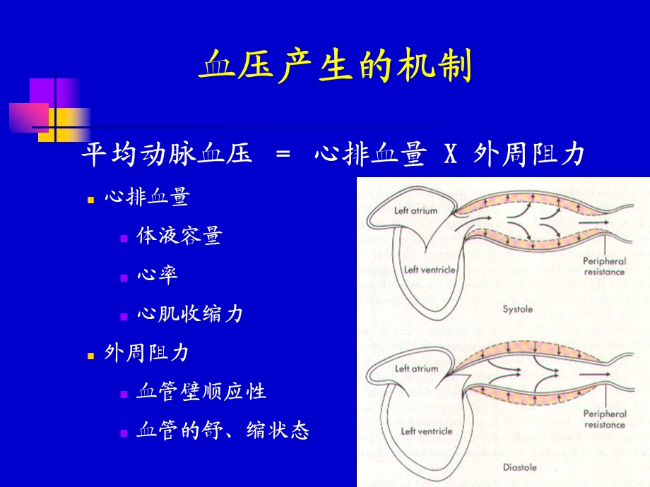 循环系统疾病高血压ppt课件精选文档.ppt_第3页