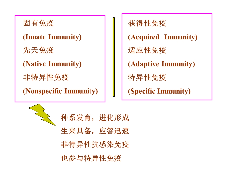 最新固有免疫细胞及功能中文PPT文档.ppt_第2页