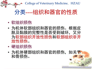 6第三章损伤PPT文档资料.ppt