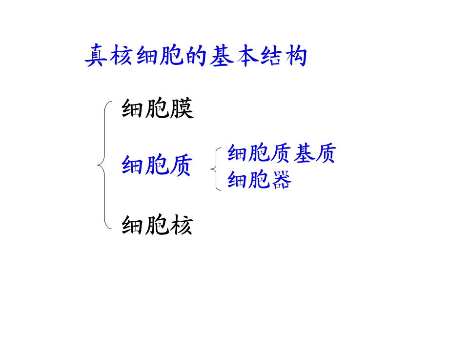 人教版教学课件第三章第二节细胞器——系统内的分工合作复习课PPT文档资料.ppt_第1页